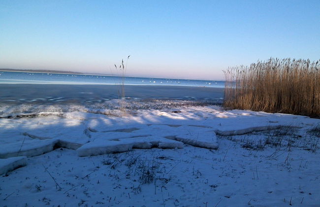 Apartment in Pepelow Near Baltic Sea Beach - Foto 34