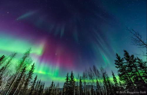 Moose Mountain Cabin- Cozy retreat with aurora views - Foto 45