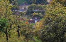 Fewo Traumblick - Foto 11