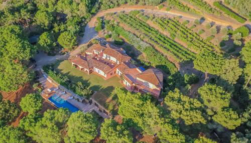 Villa Punta Morcone - Foto 3