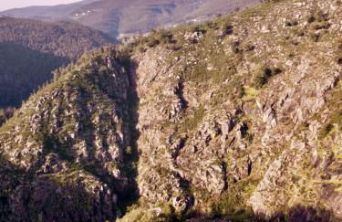 Quinta da Vinha do Souto - Foto 40