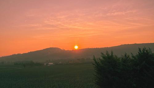 Bio Agriturismo Falezze - Foto 5