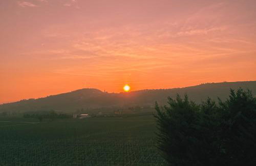 Bio Agriturismo Falezze - Foto 5