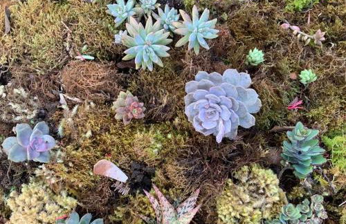 Exotic Garden cottage at amazing volcano fissure - Foto 19