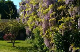 Casa Vacanze Prato Verde - Foto 29