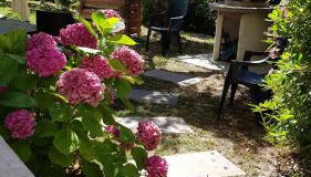 Loft dans cadre de verdure - Photo 3