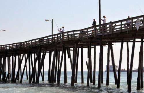 FFR101 - The Wright Idea - Foto 58