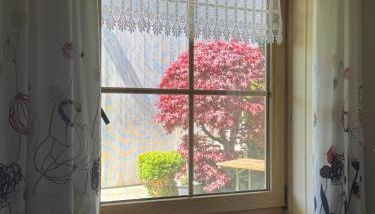 Ferienwohnung Haus Veronika - Foto 4, Garden view