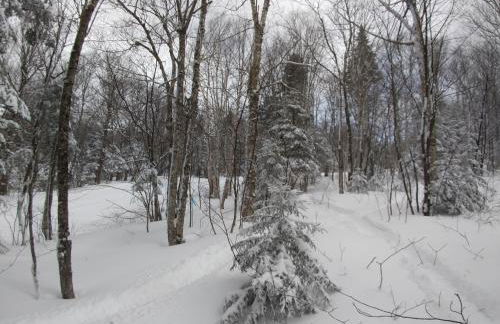 Bolton Condo 3 Bedroom Condo by RedAwning - Foto 50