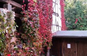 Ferienwohnungen Word 5 Altstadt Quedlinburg - Foto 22