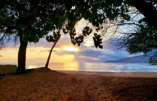 Maui Tranquility II - Photo 38