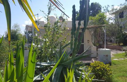 Borgo degli Ulivi Depandance - Foto 16