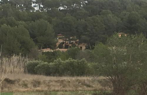 Gites Velaux Ecureuil et Pinède - Photo 4