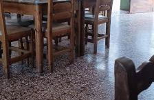 Hotel zakros rooms-restaurant - Photo 8