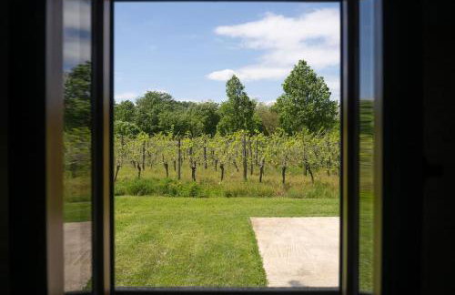 Apartman Ela Vi - Foto 12