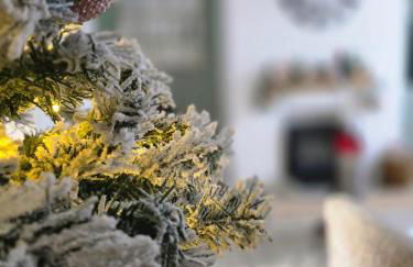 Skye View Cosy Retreat near Alton Towers & Peak wildlife park Staffordshire Moorlands - Foto 18