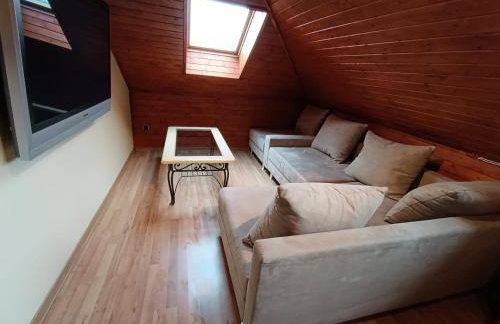 Willa Wypoczynkowa - Foto 54