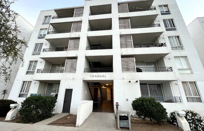 The Racoon Apartament - Foto 13