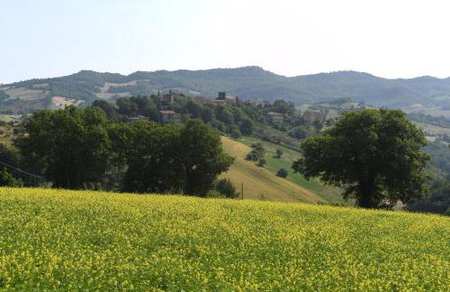 agriturismo montefiorentino - Foto 31