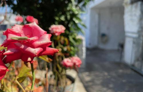 Nionas Cheerful House - Foto 16