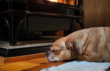 Whitehorse Mountain Retreat - Hot tub - Fireplace - Foto 9
