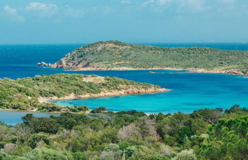 Résidence Les Terrasses de Rondinara - Foto 26