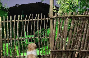 CABANA SERRA DA BALANÇA - Foto 36