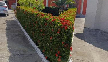 Casa Praia Abais - Estância SE - Foto 2