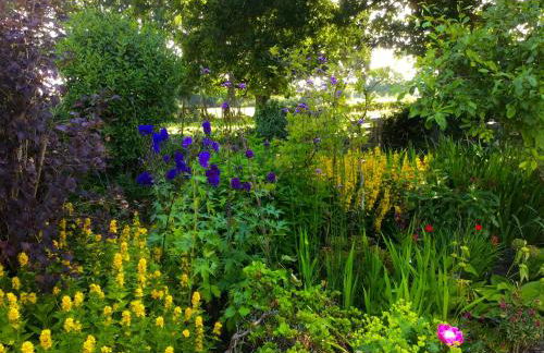 Forest Barn in the national park & near beaches - Foto 14