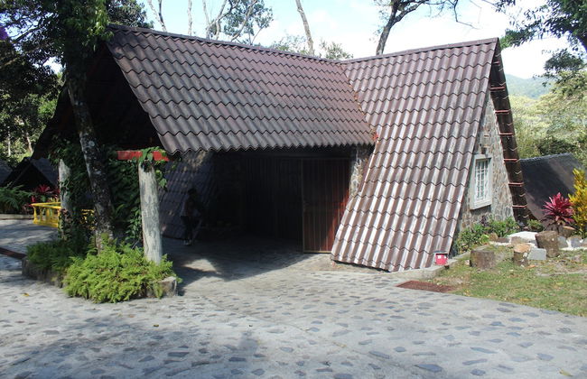 Naudy Lorena - Foto 16