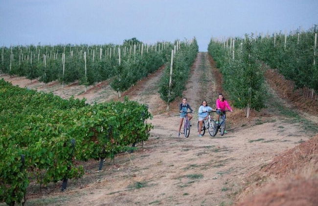 Quinta da Barroca - Foto 68