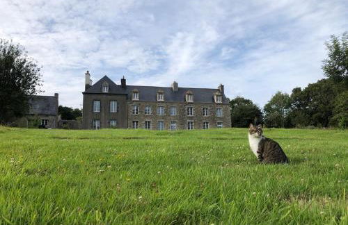 Les Cottages du Manoir, Jacuzzi -Crozon - Photo 35
