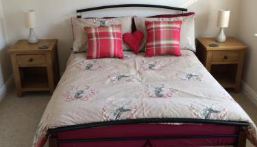 The Custards - Foto 5