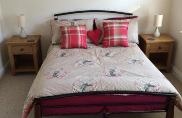 The Custards - Foto 5