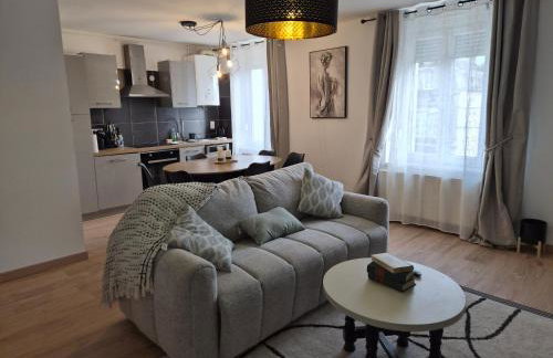 T3 hypercentre de Longwy accès direct gare et bus - Foto 57