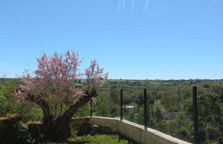 La troglo aux oiseaux - Foto 25