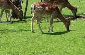 La Dimora in Pietra - Foto 34