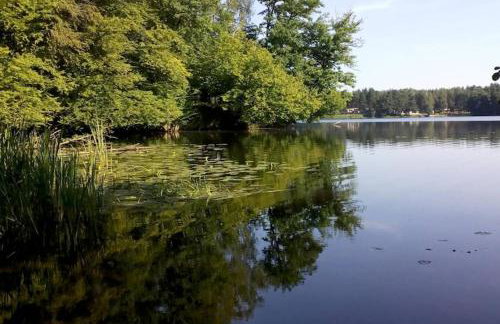 Large holiday home with garden, close to the lake - Foto 31