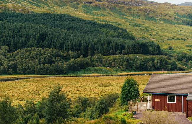 The Kingfisher - Foto 14