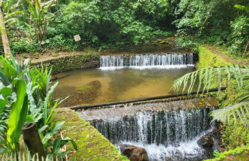 Green Toque-Toque - Foto 11