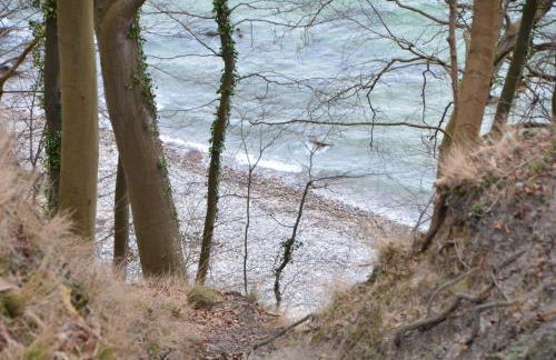 Ferienwohnung Käpt'n Pugs Kajüte auf Rügen - Foto 6