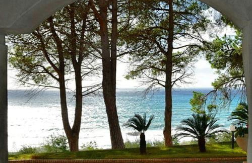 Naturoasi Resort - Photo 32