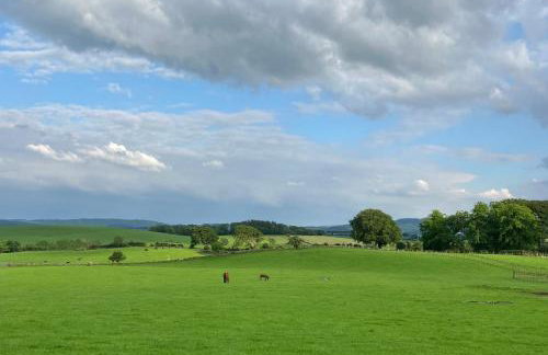 Wee Shepherds Hut Maybole - Foto 12