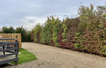 MegaPod 1 at Lee Wick Farm Cottages & Glamping - Foto 14