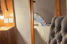 Quinta da Utopia - Foto 2