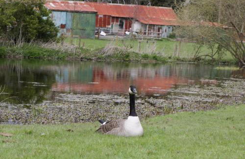 The Courtyard - Hilltop Barn - Photo 41