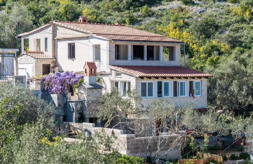 Apartments by the sea Cove Donja Kruscica - Donja Krusica, Solta - 15636 - Photo 1