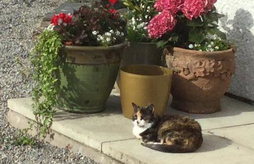 Oban Seil Farm - Photo 4