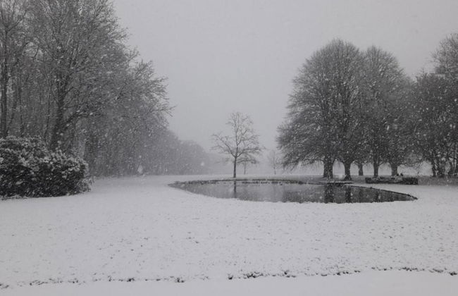 Holiday Home in Netherlands Pond View - Photo 31