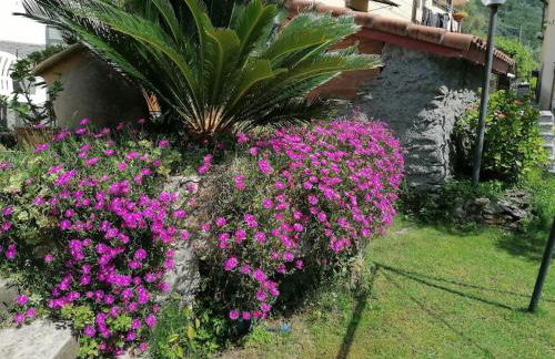 Casa Andreina - Foto 10